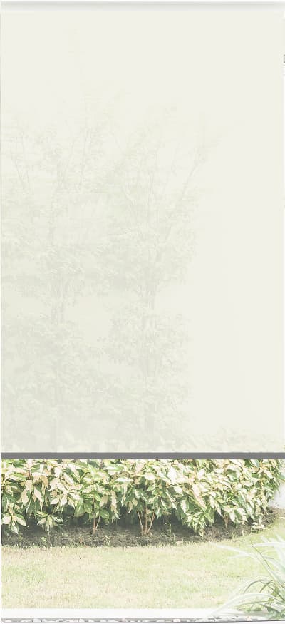 bandalux estor enrollable polyscreen 351 (1)