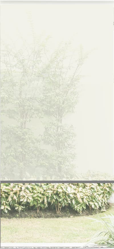 bandalux estor enrollable polyscreen 403 (1)